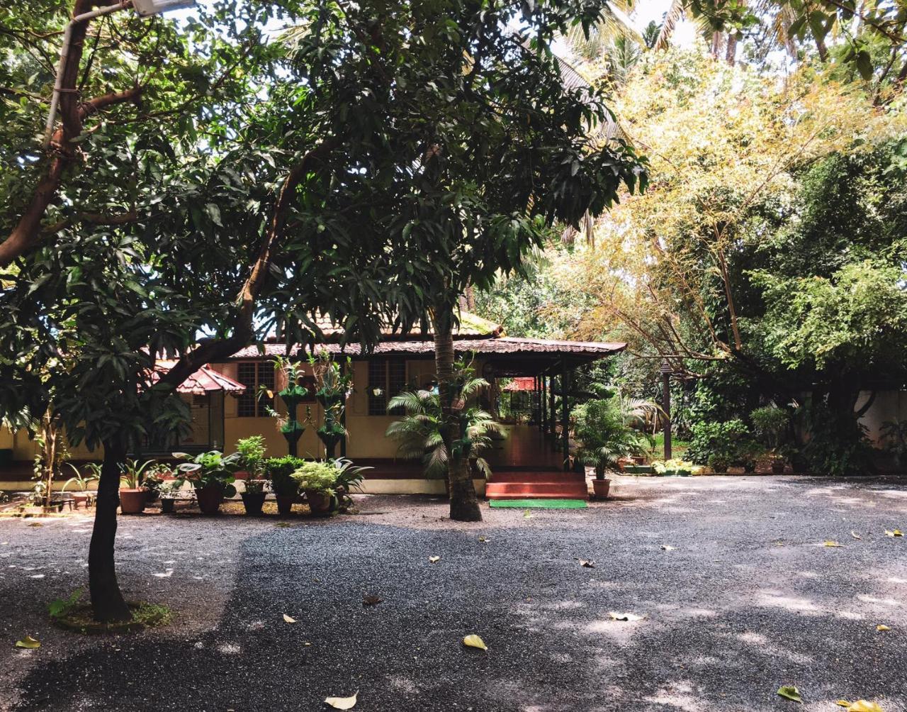 Palm Grove Service Villa Коччи Экстерьер фото