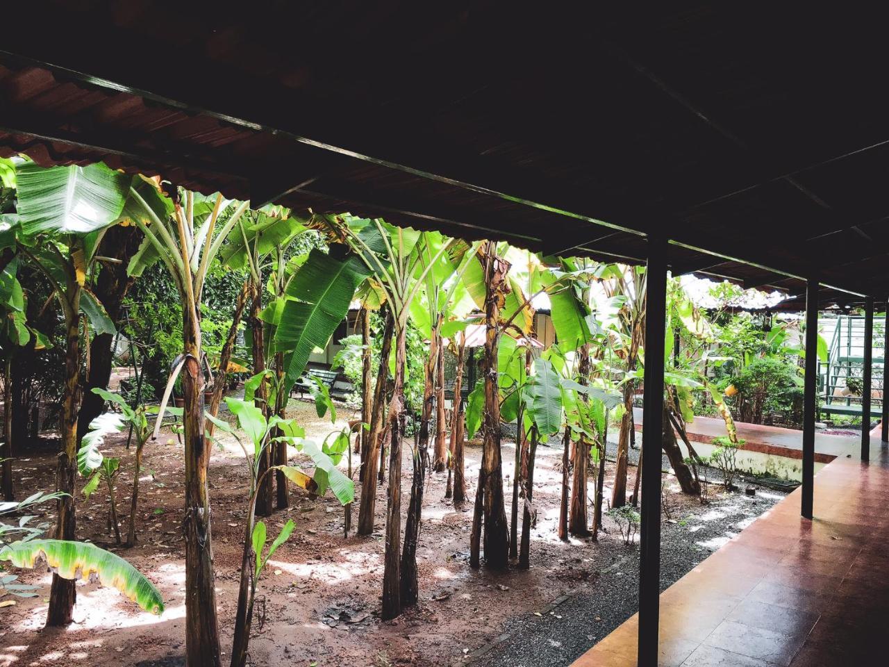 Palm Grove Service Villa Коччи Экстерьер фото